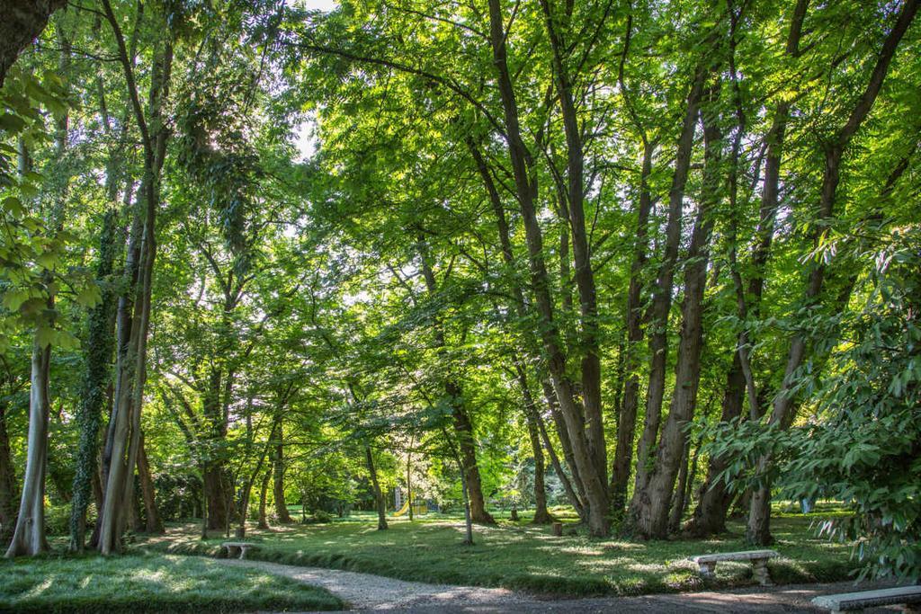 Villa Revedin Gorgo al Monticano Buitenkant foto